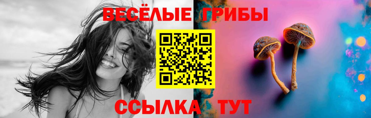 Белая Калитва  Галлюциногенные грибы прущие грибы  Вход с VPN 